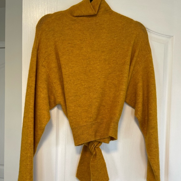 Aritzia Sweaters - Wilfred Lorin Sweater